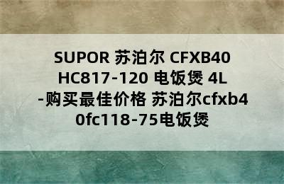 SUPOR 苏泊尔 CFXB40HC817-120 电饭煲 4L-购买最佳价格 苏泊尔cfxb40fc118-75电饭煲